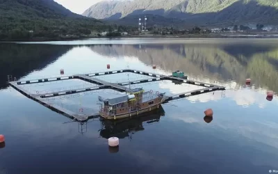 [Deutsche Welle] Chile: protestas por salmoneras en áreas protegidas