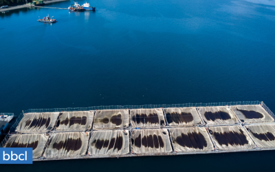 [Bío Bío] Los Lagos: la discusión sobre continuidad de operaciones de industria salmonera en áreas protegidas