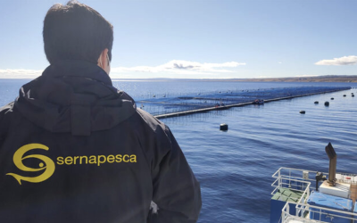 [La Prensa Austral] Sernapesca cursó 42 denuncias a empresas salmoneras por incumplimientos y sembrar más peces de lo autorizado