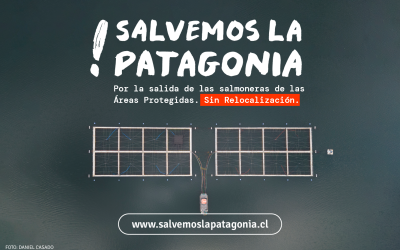 [Salvemos la Patagonia] Lanzan campaña para salida de salmonicultura dentro de áreas protegidas