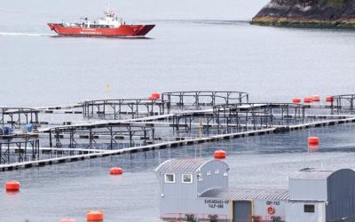 [El Mercurio] Contraloría respalda criterio de Ley SBAP al exigir plan de manejo para relocalizaciones de salmoneras